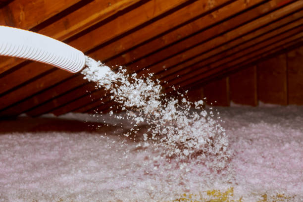 Best Eco-Friendly Insulation in Doraville, GA