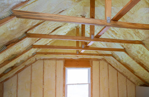 Best Specialized Insulation Services in Doraville, GA